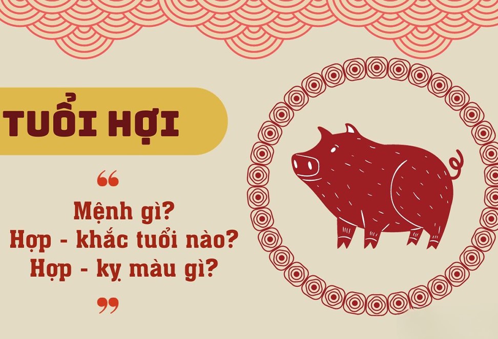 Tuổi Hợi là số mấy? Số may mắn của tuổi Hợi là số nào?