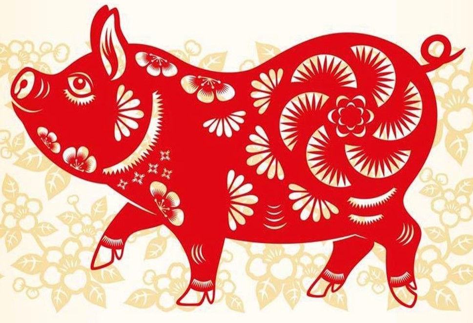 Tuổi Hợi là số mấy? Số may mắn của tuổi Hợi là số nào?