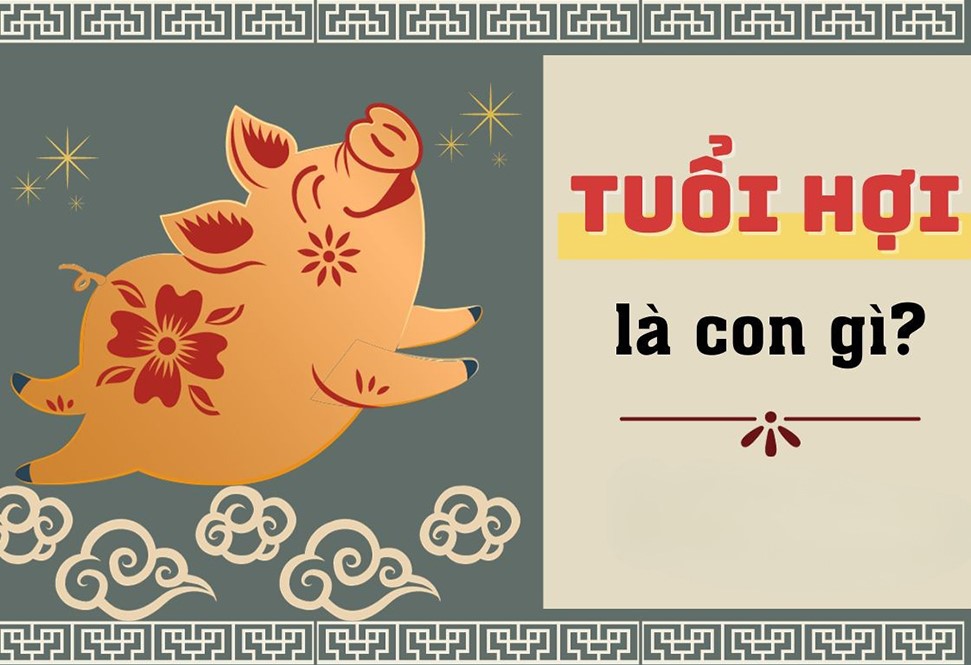 Tuổi Hợi là số mấy? Số may mắn của tuổi Hợi là số nào?