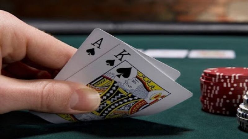 Ngũ Linh Có Ăn Được Xì Dách Không? Sự Thật Bất Ngờ